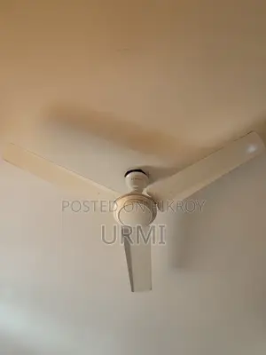 Singer Fan