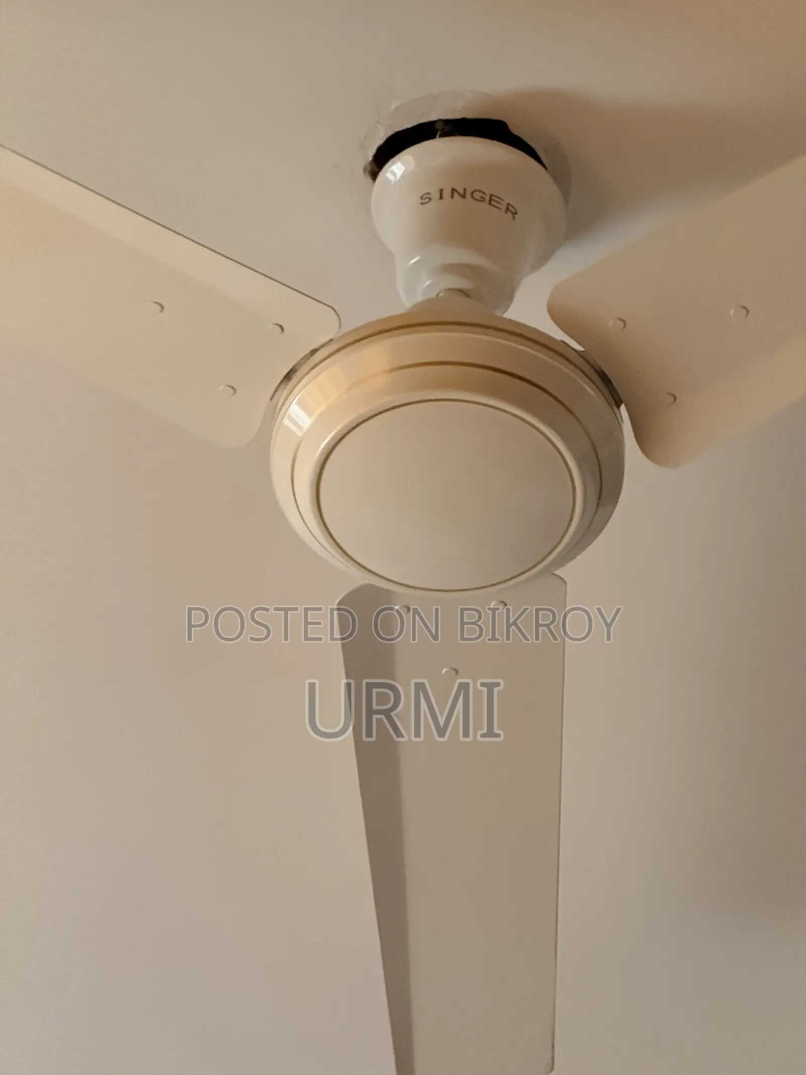 Singer Fan