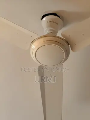 Singer Fan