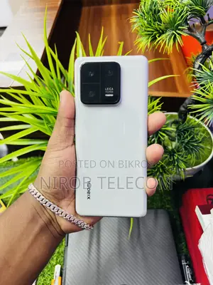 Xiaomi 13 Pro 256 GB Green
