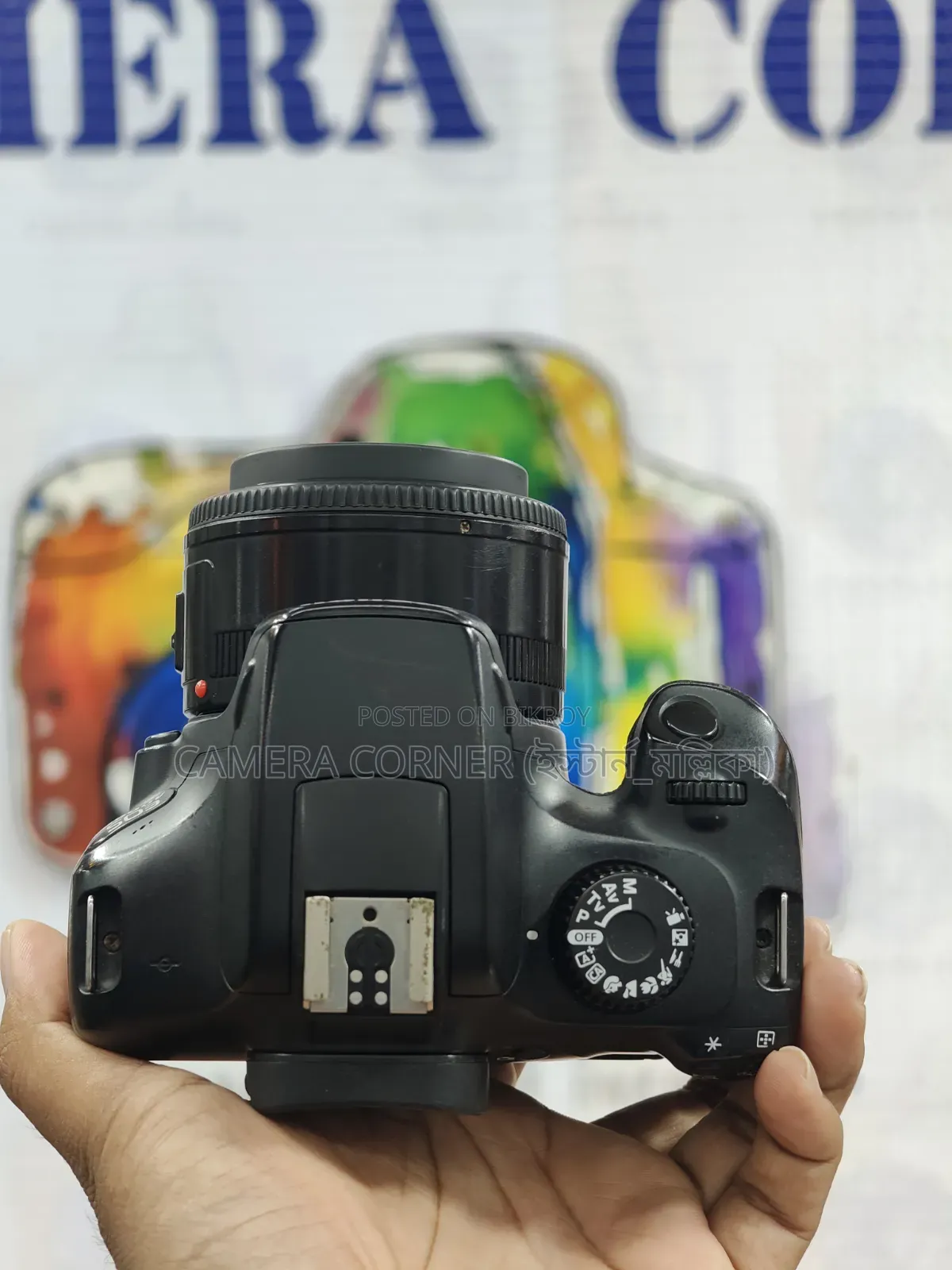 Canon 4000D+50mm Yn F1.8