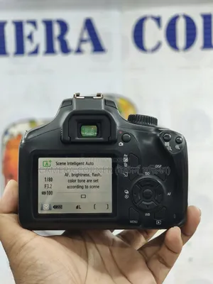 Canon 4000D+50mm Yn F1.8
