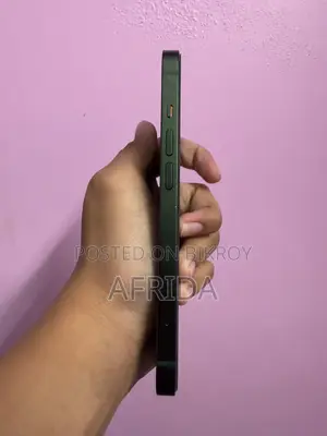 অ্যাপল আইফোন ১৩ ১২৮ জিবি সবুজ
