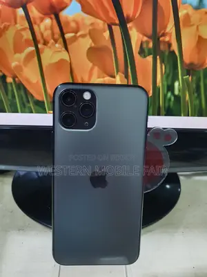 Apple iPhone 11 Pro Max 256 GB Green