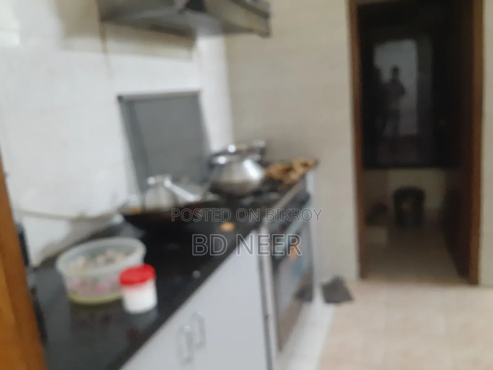 Furnished 4-Bedroom Apartment in Gulshan for Rent