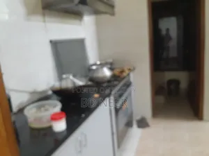 Furnished 4-Bedroom Apartment in Gulshan for Rent