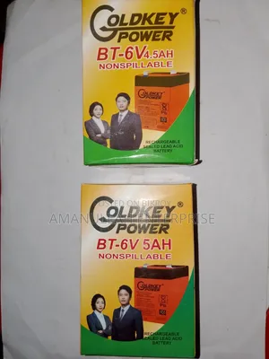 GOLDKEY POWER 6V 4.5Ah Rechargeable Sealed Lead-Acid Battery.