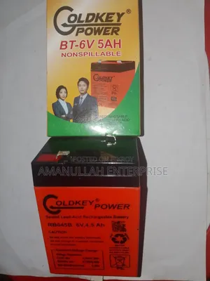 GOLDKEY POWER 6V 4.5Ah Rechargeable Sealed Lead-Acid Battery.