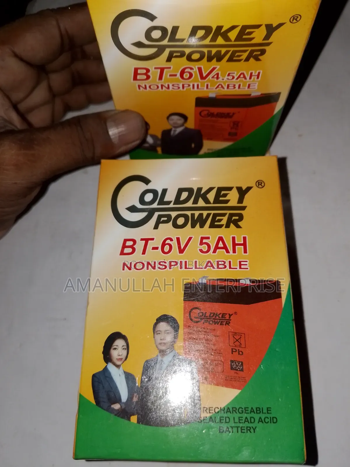 GOLDKEY POWER 6V 4.5Ah Rechargeable Sealed Lead-Acid Battery.