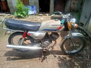 হার্লে-ডেভিডসন ট্যুরিং ২০০৭ সাদা