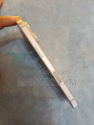 অ্যাপল আইফোন ১৭ প্রো ২৫৬ জিবি সিলভার