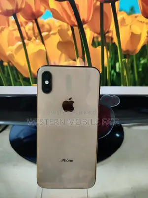 অ্যাপল আইফোন এক্সএস ২৫৬ জিবি গোল্ড