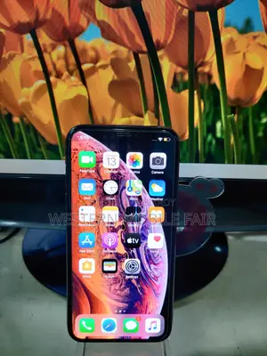 অ্যাপল আইফোন এক্সএস ২৫৬ জিবি গোল্ড