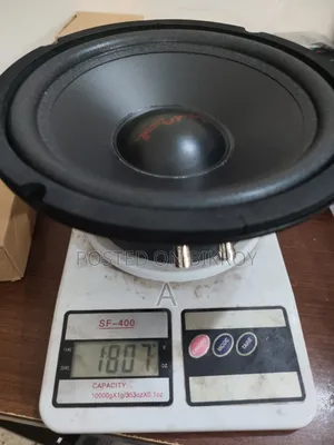 Fury 8 Inch Woofer 4 Ohms 350w