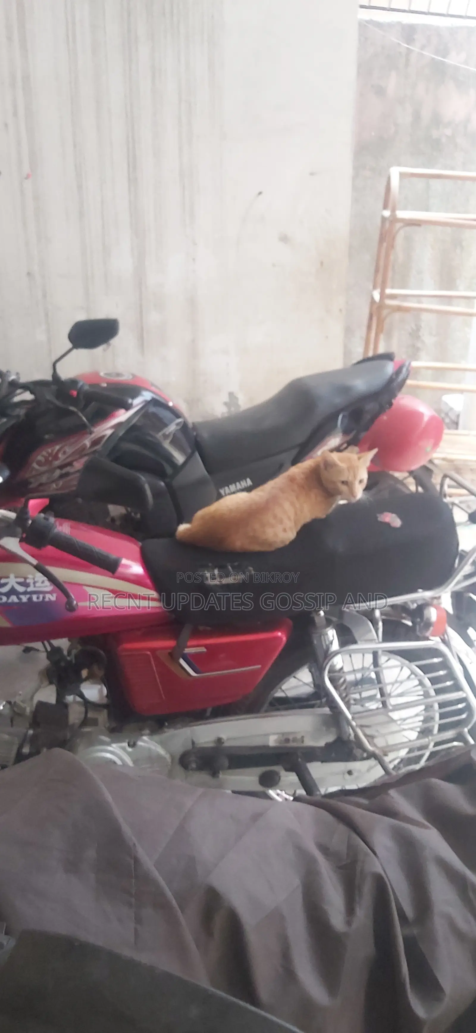 দায়ুন ডিওয়াই১৫০ ২০১০ লাল