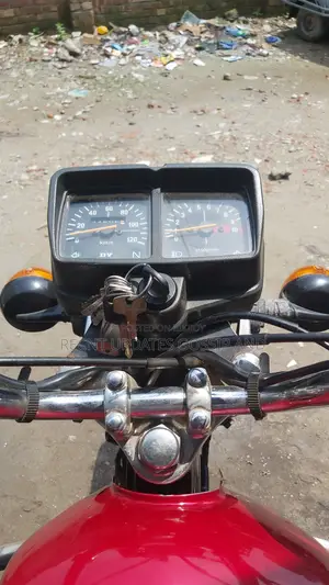 দায়ুন ডিওয়াই১৫০ ২০১০ লাল