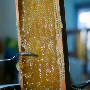 (1 kg) Sundarban Khalisha Flower Pure Honey