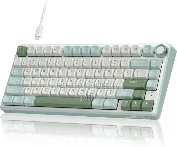 Royal Kludge RK R75 RGB Mechanical Gaming Keyboard