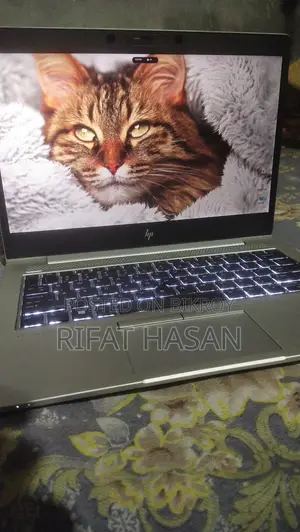 Laptop HP Elitebook 735 G6 8gb Amd Ryzen 5 SSD 256gb