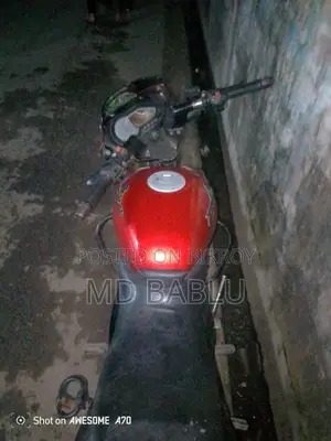 বাজাজ পালসার ১৫০ ২০২৪ রেড