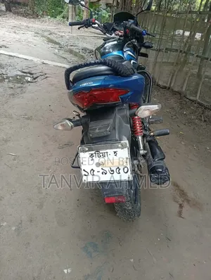 হিরো প্যাশন প্রো ২০১৯ নীল