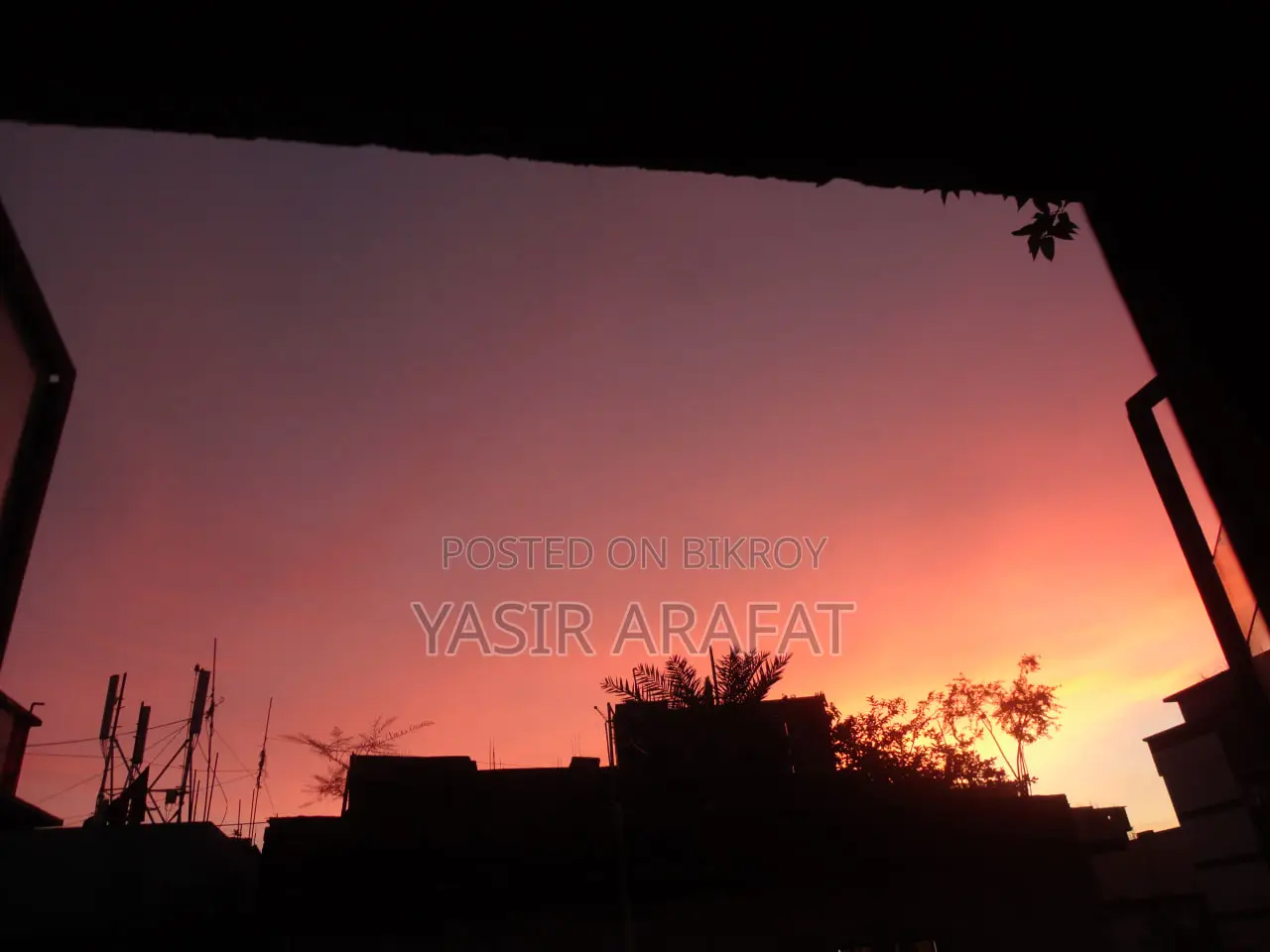 বিক্রির জন্য: রেয়ার পিংক সনি ডব্লিউ ৫৭০