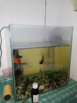 ফুল সেটাপ বিক্রি হবে সাথে জা জা আছে সব সহ