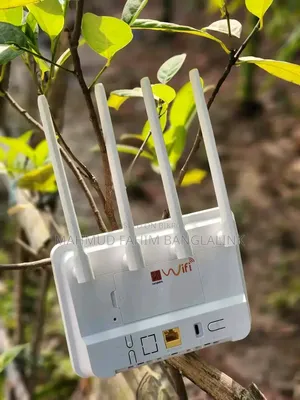বাংলালিংক তারবিহীন ওয়াইফাই রাউটার