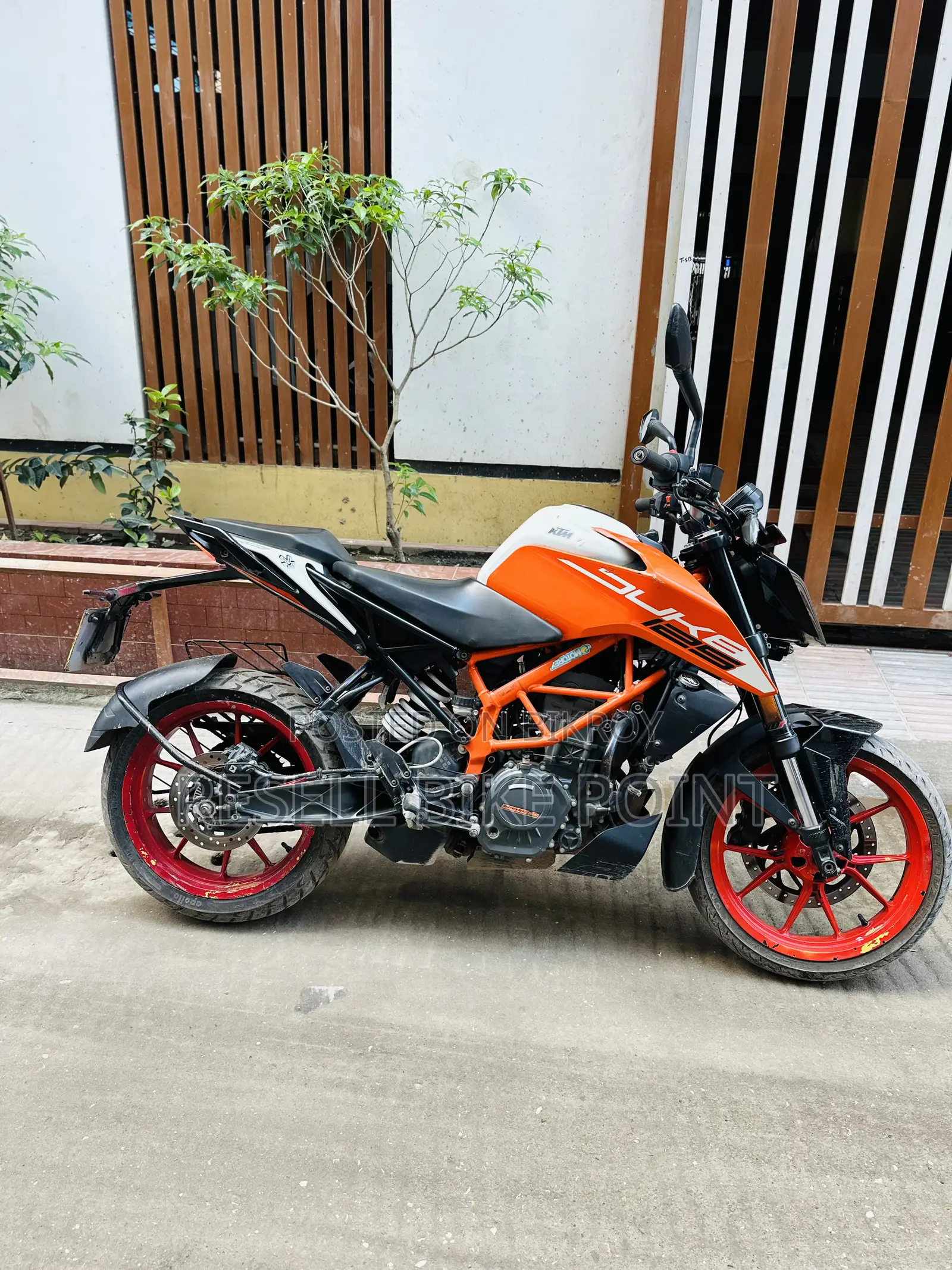 KTM Duke 125 2022 Orange