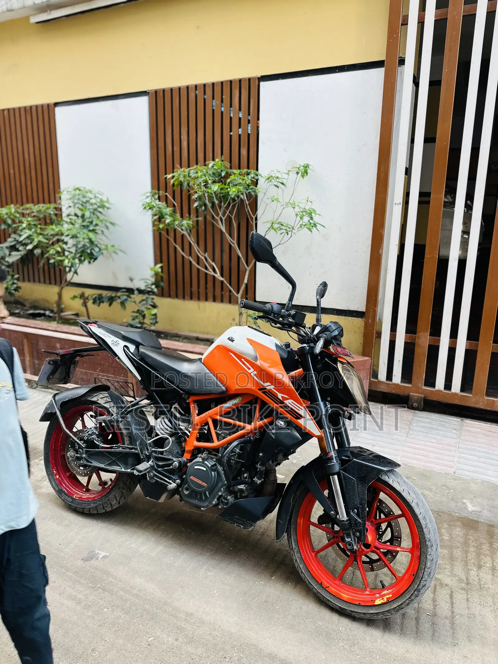 KTM Duke 125 2022 Orange