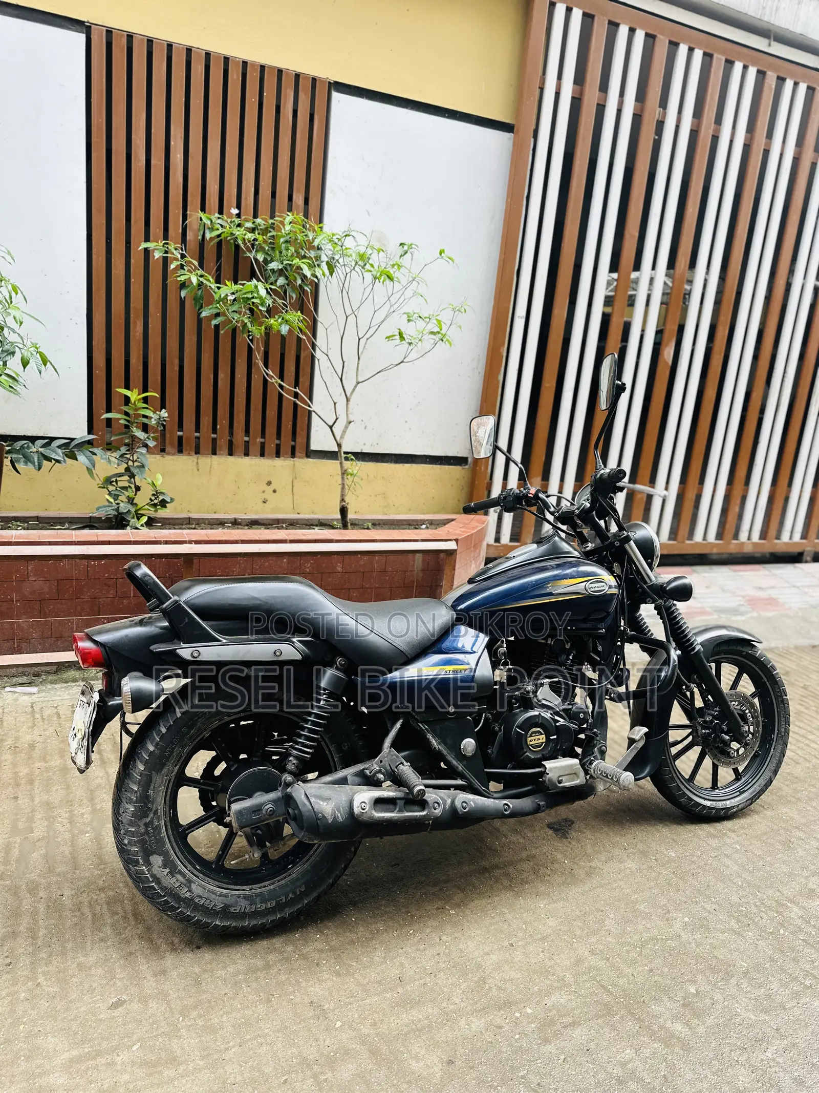 Bajaj Avenger 150 Street 2019 Blue