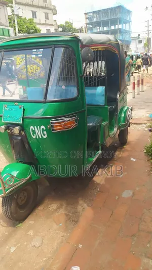Bajaj 2013 Green