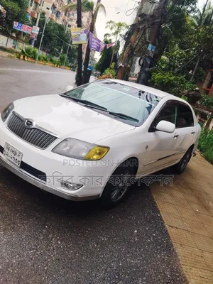 Toyota Corolla 2004 White