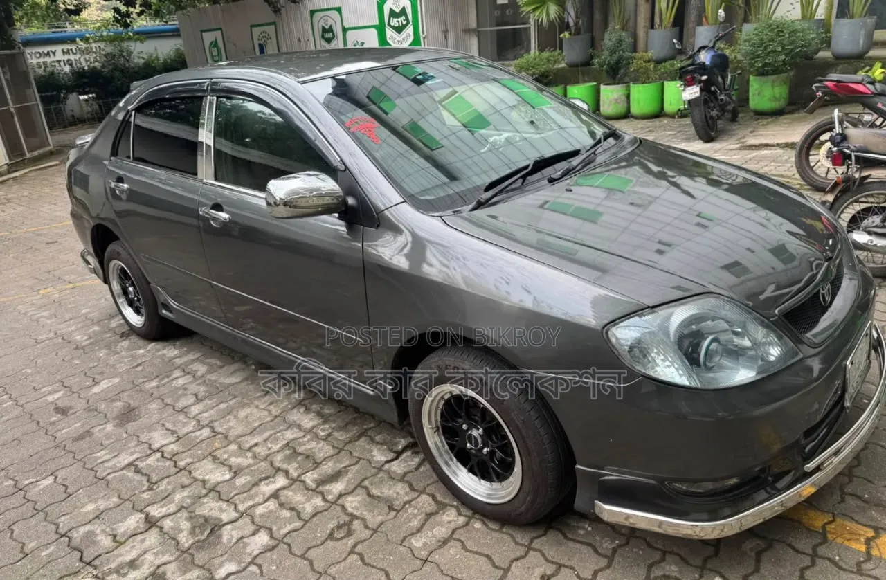 Toyota Corolla 2001 Gray