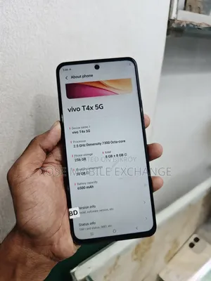 Vivo 256 GB Purple