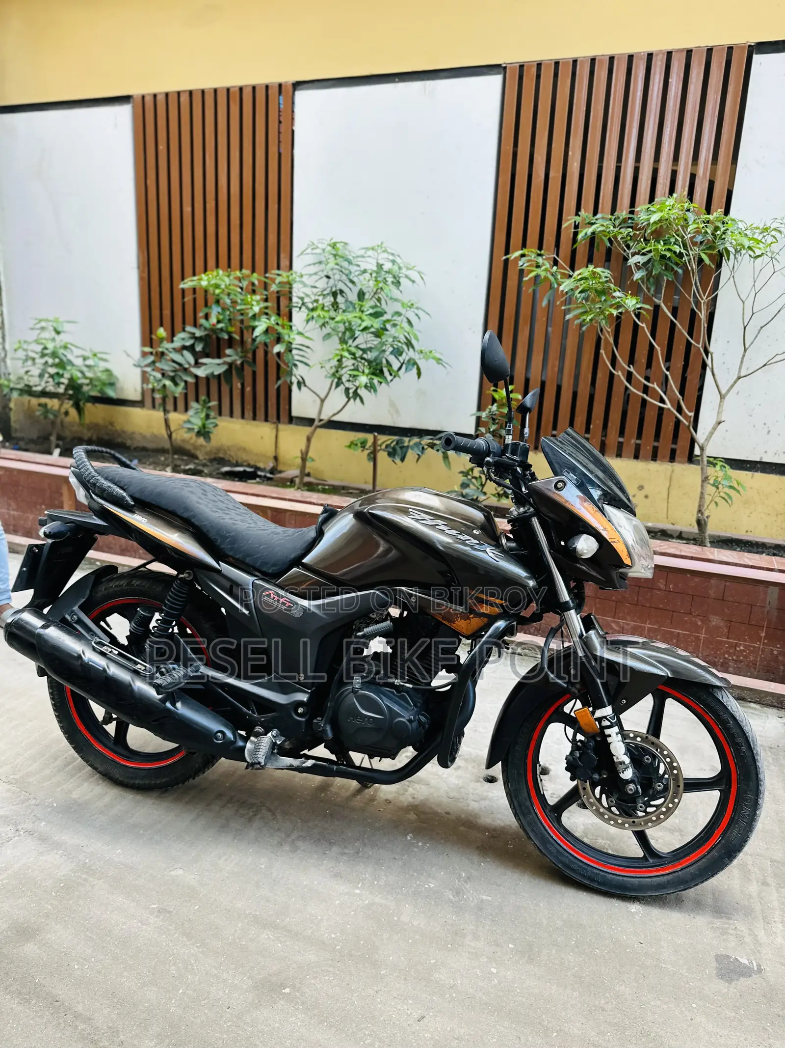 Hero Hunk 2019 Brown