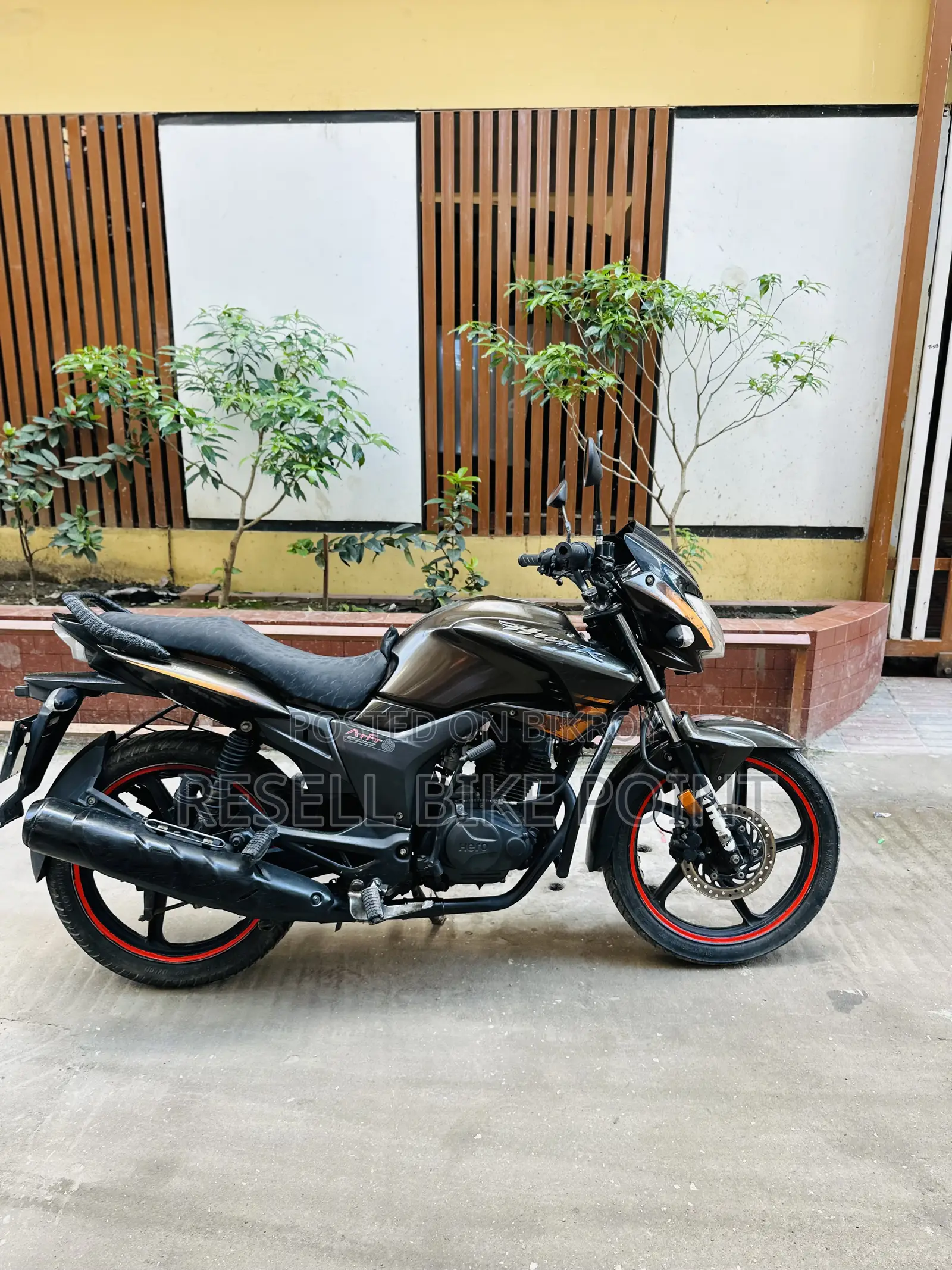 Hero Hunk 2019 Brown