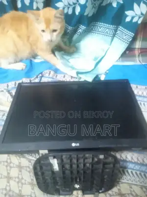 Monitor, (Panel Broken Circuit Good)