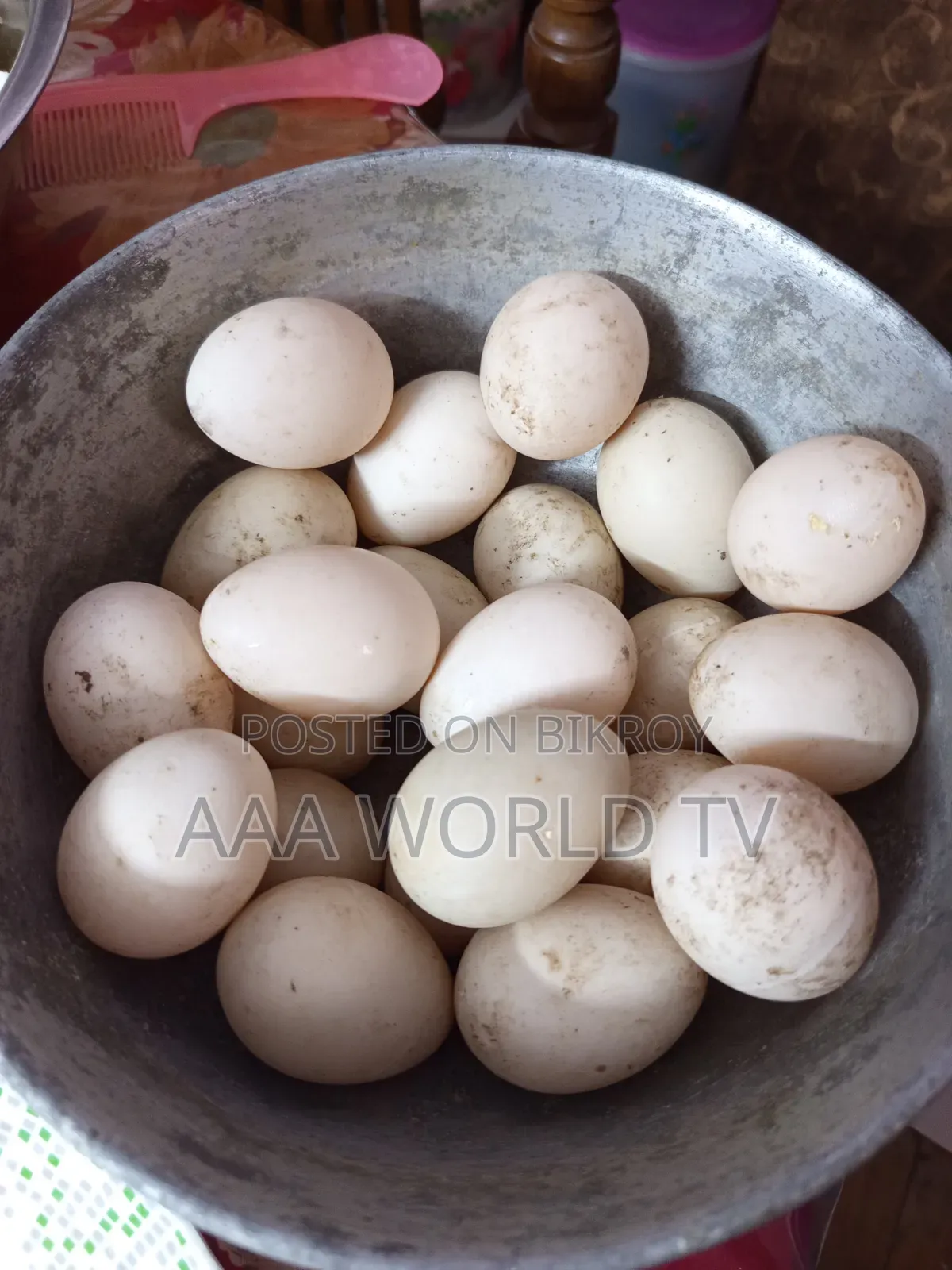 চীনা হাঁসের বীজ ডিম