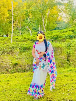 Saree With Ready Blouse