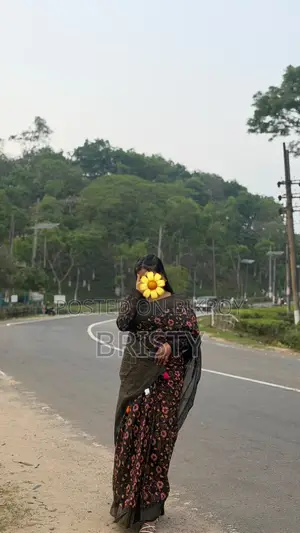 Only Saree Without Blouse