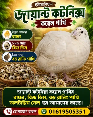 বড় জাতের কয়েল পাখি