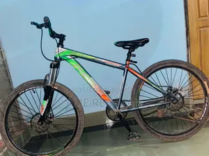 Phoenix Cycle