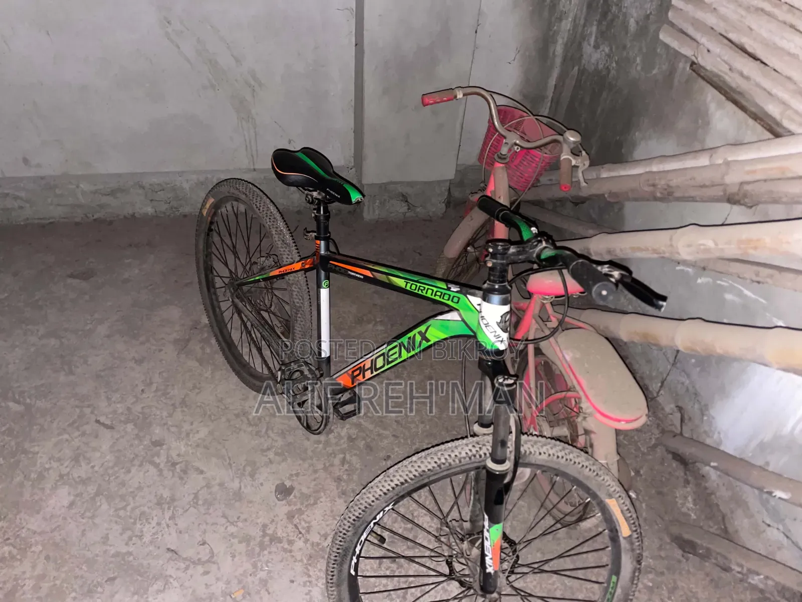 Phoenix Cycle