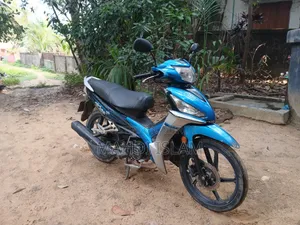 Runner Kite + 110 2021 Blue