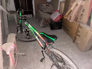 Phoenix Cycle