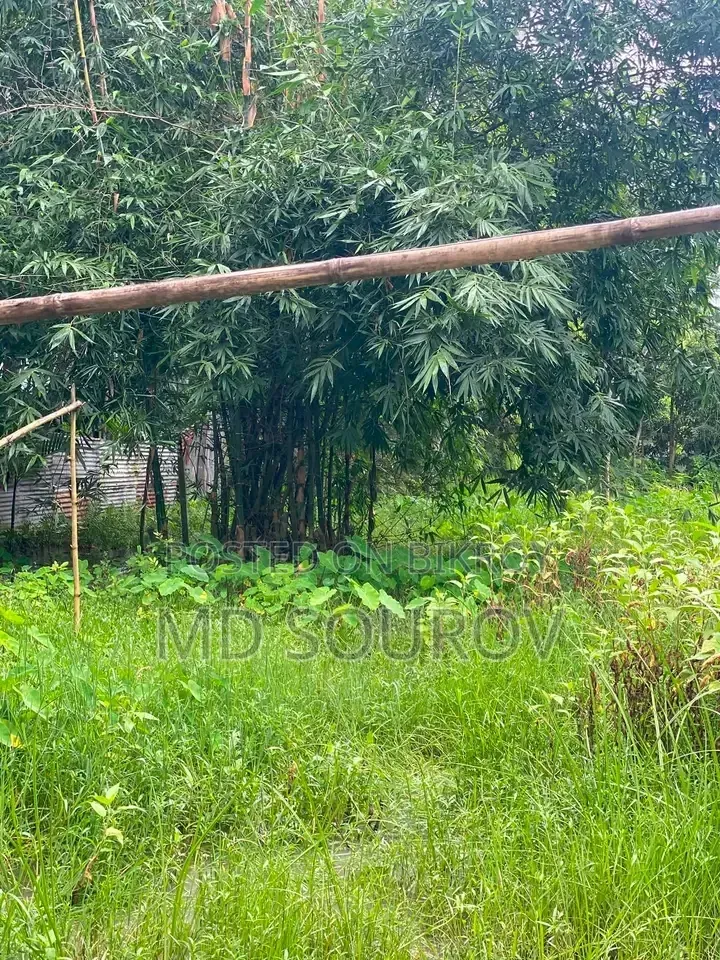 4.5 Lakhs per Shatak, 3 Shatak Land