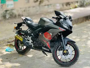Indian 2021 Gray