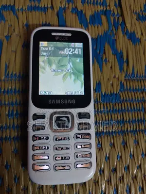 Samsung Guru Music 2 White