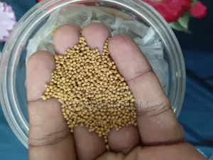Aquarium Fish Food (Fixed Price)
